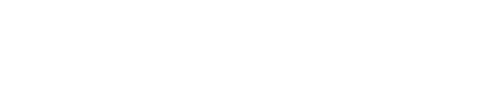 Little Fidgets